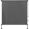 imageAmagenix Outdoor Roller Shades 8W x 8H Exterior Cordless Patio Shades Roll up Outdoor Blinds for Porch Gazebo Grey